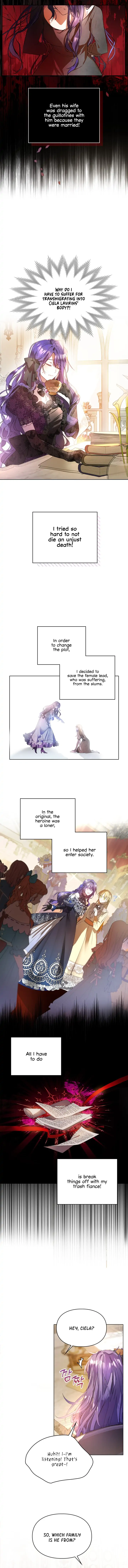 The Heroine Had an Affair with My Fiance Chapter 1 page 5
