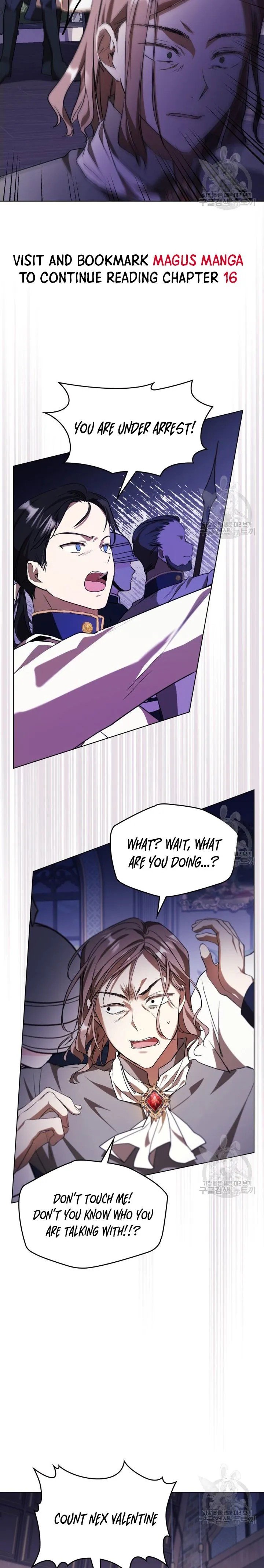 The Heroine Had an Affair with My Fiance Chapter 12 page 17