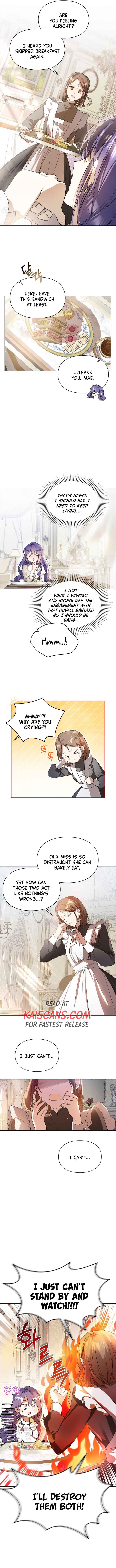 The Heroine Had an Affair with My Fiance Chapter 2 page 7