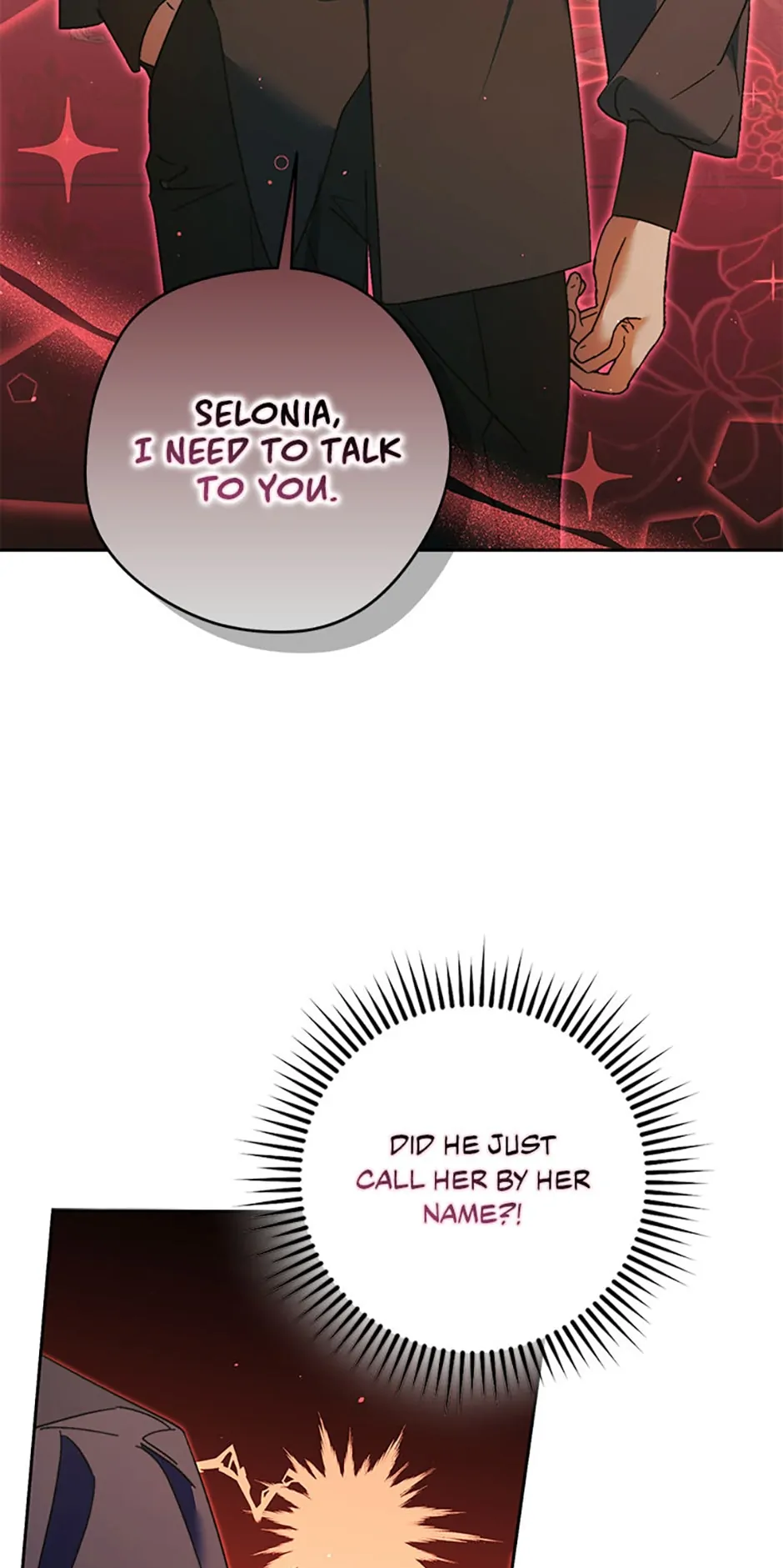 The Male Leads Were Stolen by the Extra Chapter 15 page 63