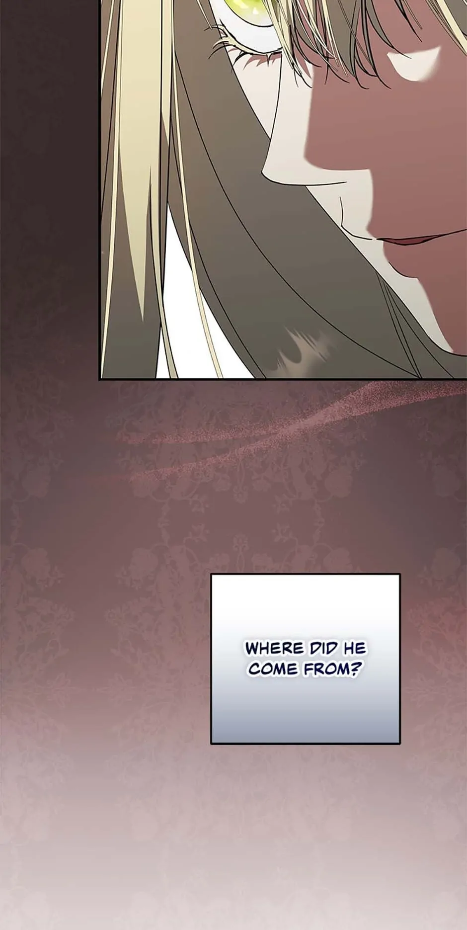 The Male Leads Were Stolen by the Extra Chapter 30 page 40
