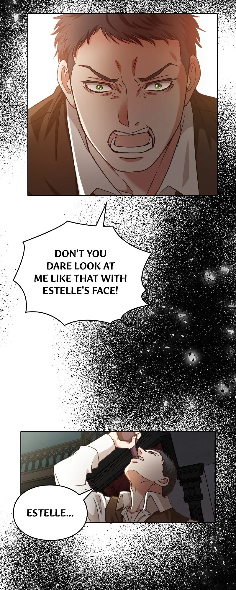 The Marriage of Countess Michelle Chapter 1 page 41