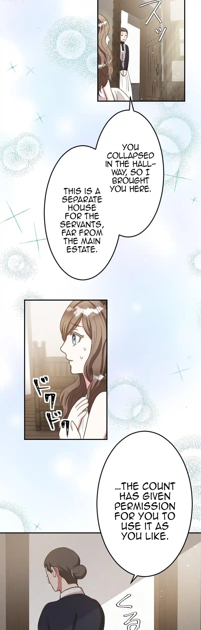 The Marriage of Countess Michelle Chapter 3 page 15