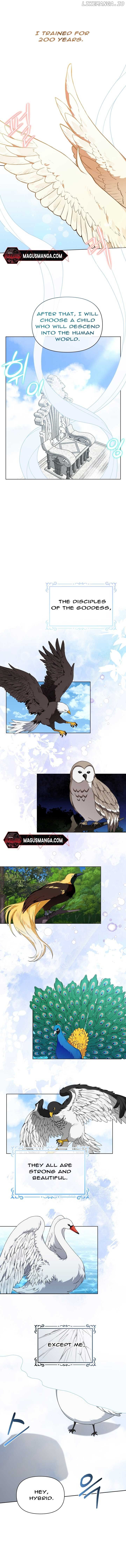 The New Empress Chapter 2 page 1