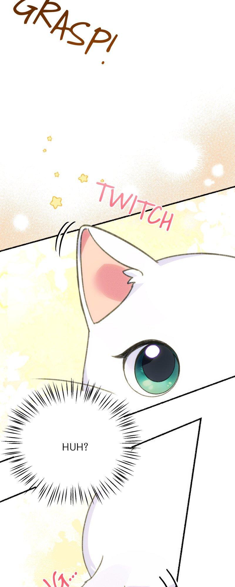 The Possesive Tyrant and His Sleepy Cat Chapter 1 page 14
