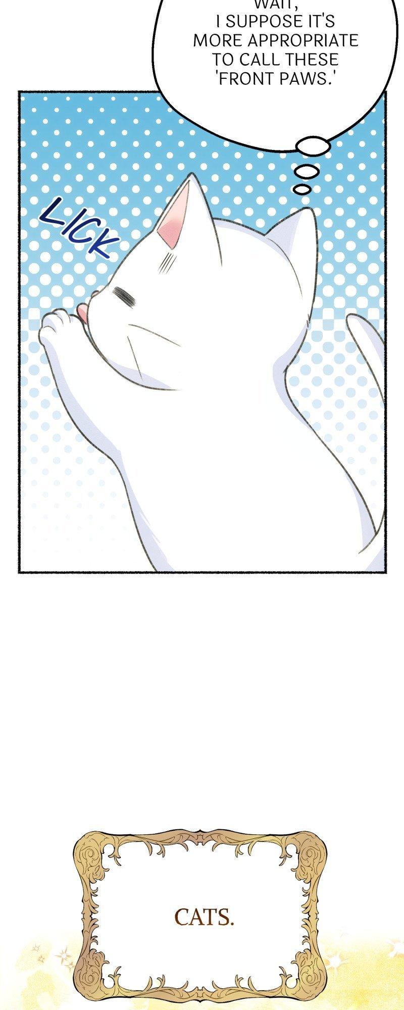 The Possesive Tyrant and His Sleepy Cat Chapter 1 page 24