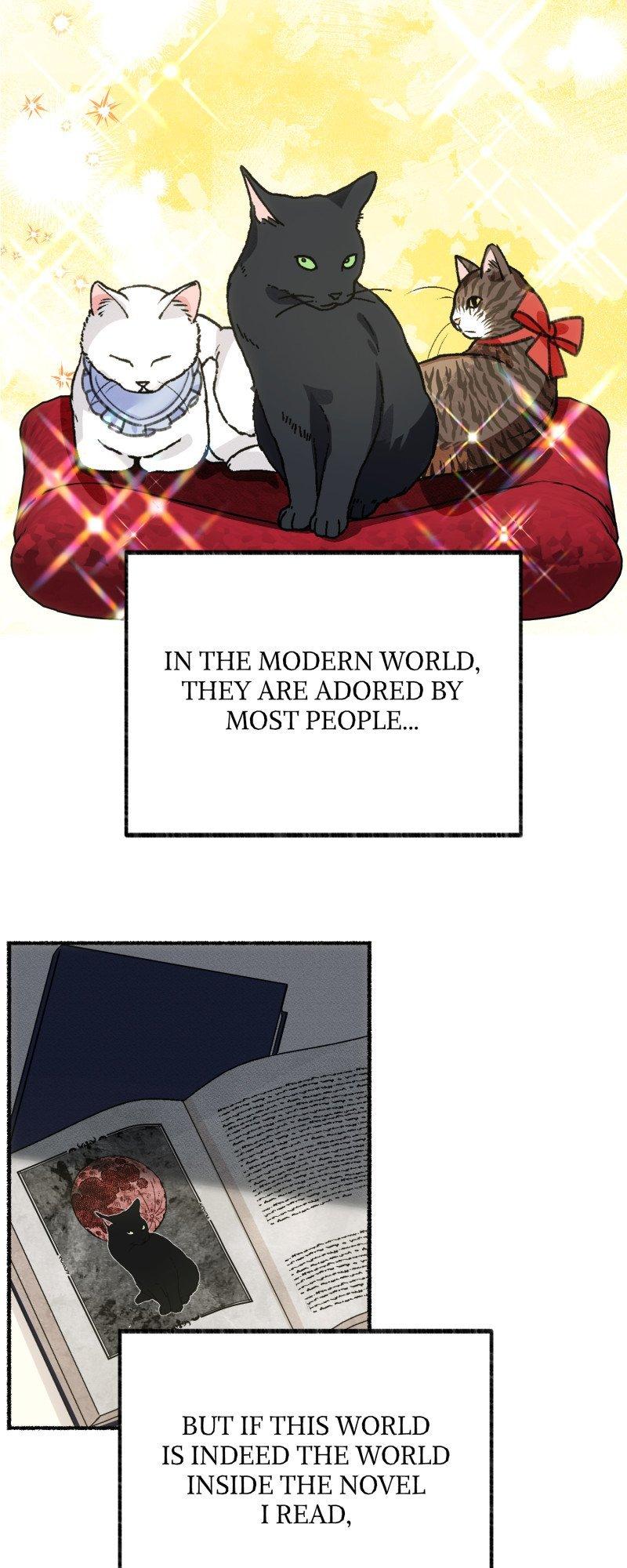 The Possesive Tyrant and His Sleepy Cat Chapter 1 page 25