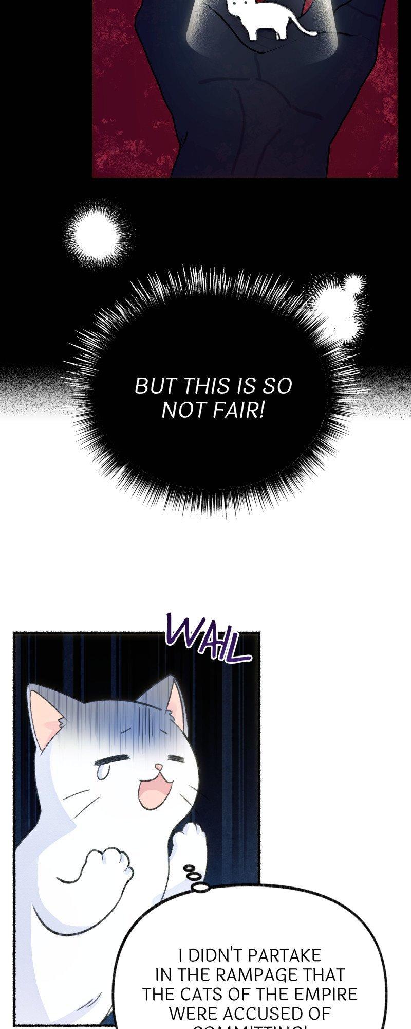 The Possesive Tyrant and His Sleepy Cat Chapter 1 page 49