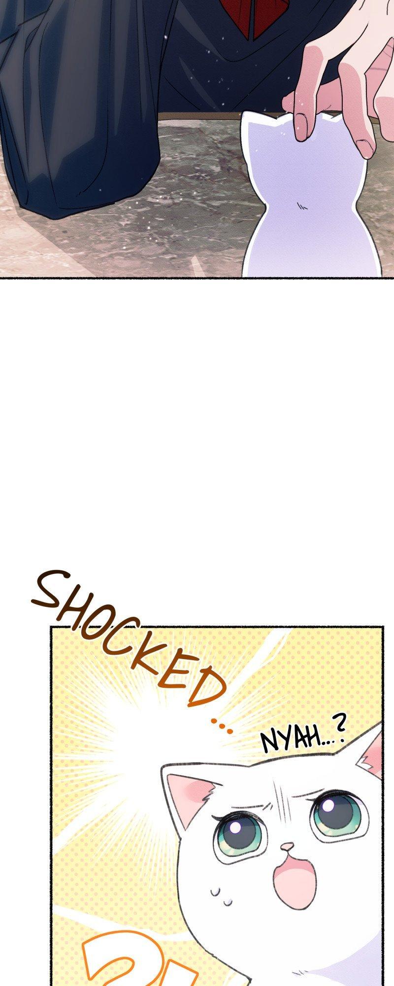 The Possesive Tyrant and His Sleepy Cat Chapter 1 page 70