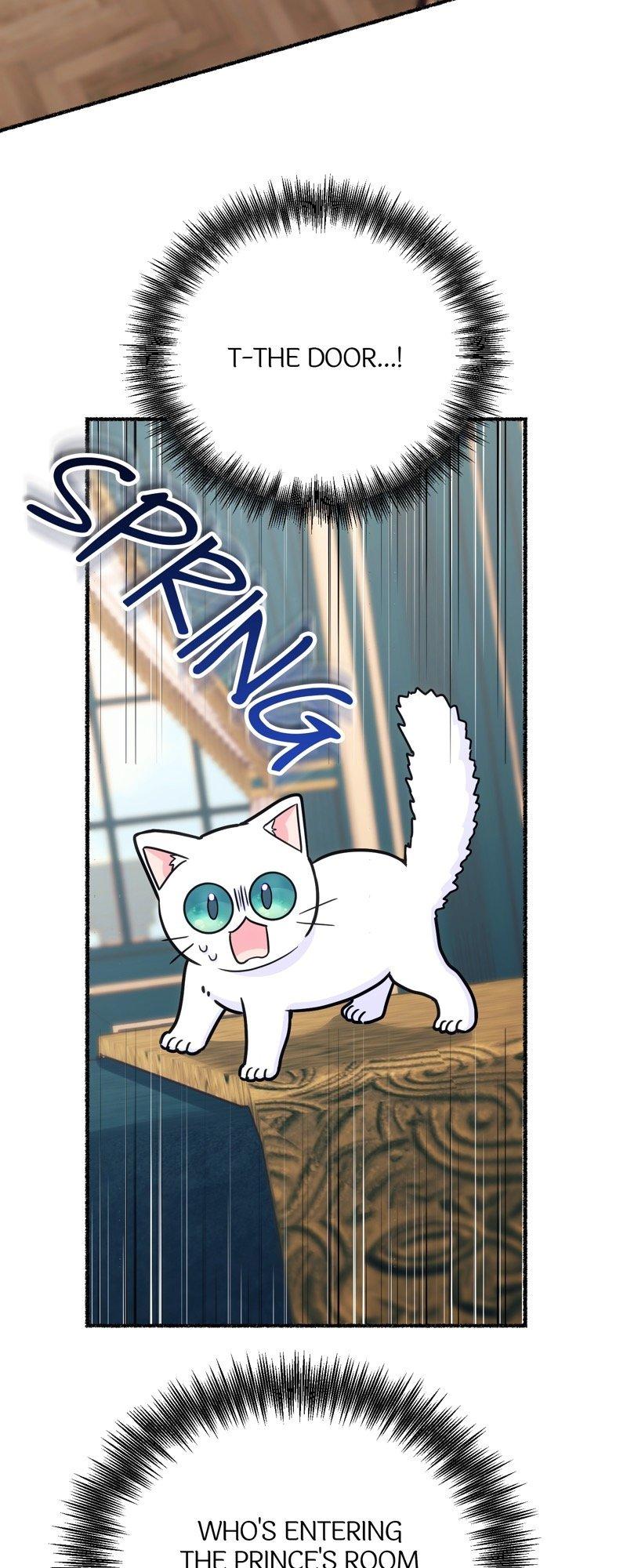 The Possesive Tyrant and His Sleepy Cat Chapter 11 page 18