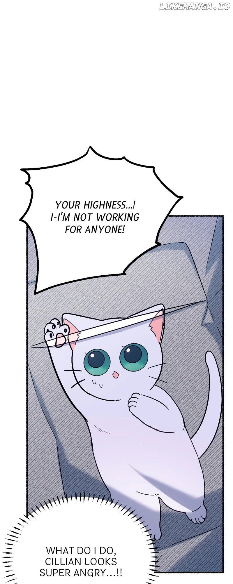 The Possesive Tyrant and His Sleepy Cat Chapter 12 page 45