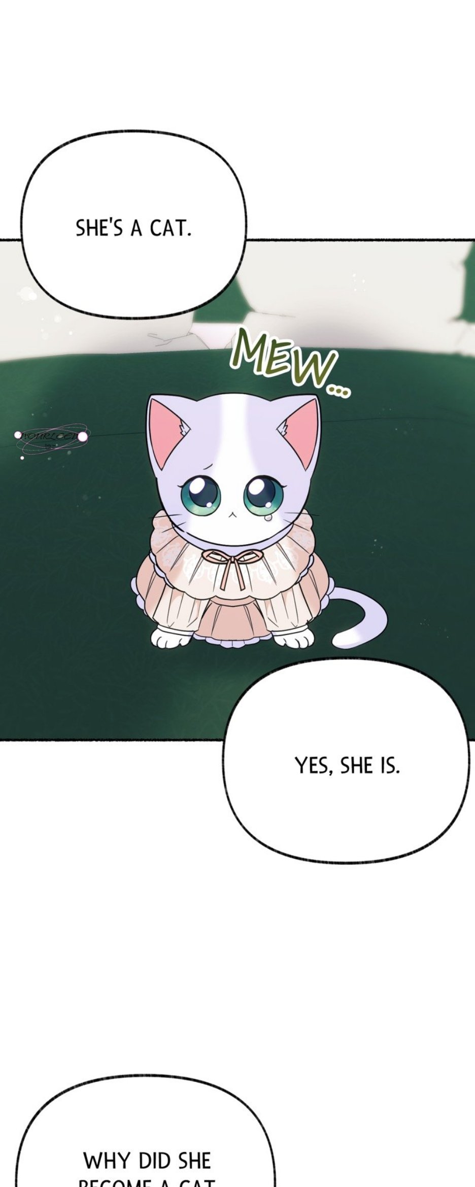The Possesive Tyrant and His Sleepy Cat Chapter 18 page 0