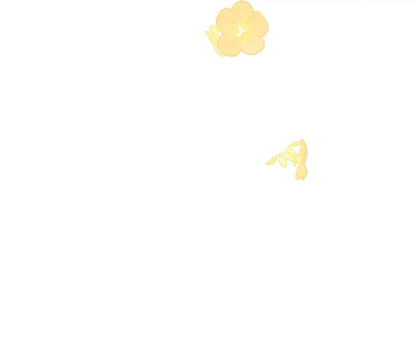 The Princess Doesn’t Want to Be Spoiled Chapter 24 page 40