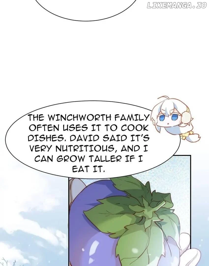 The Princess Doesn’t Want to Be Spoiled Chapter 35 page 19