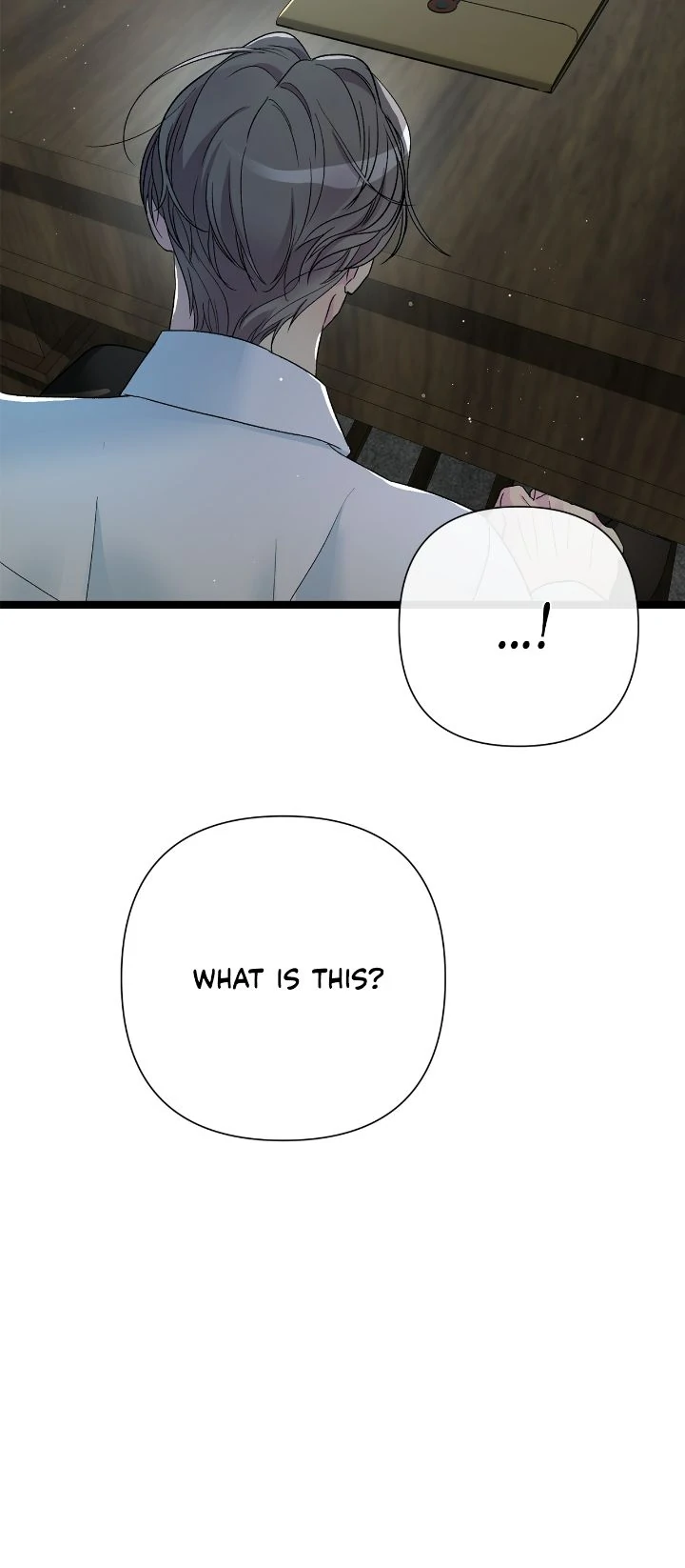 The Problematic Prince Chapter 95 page 18