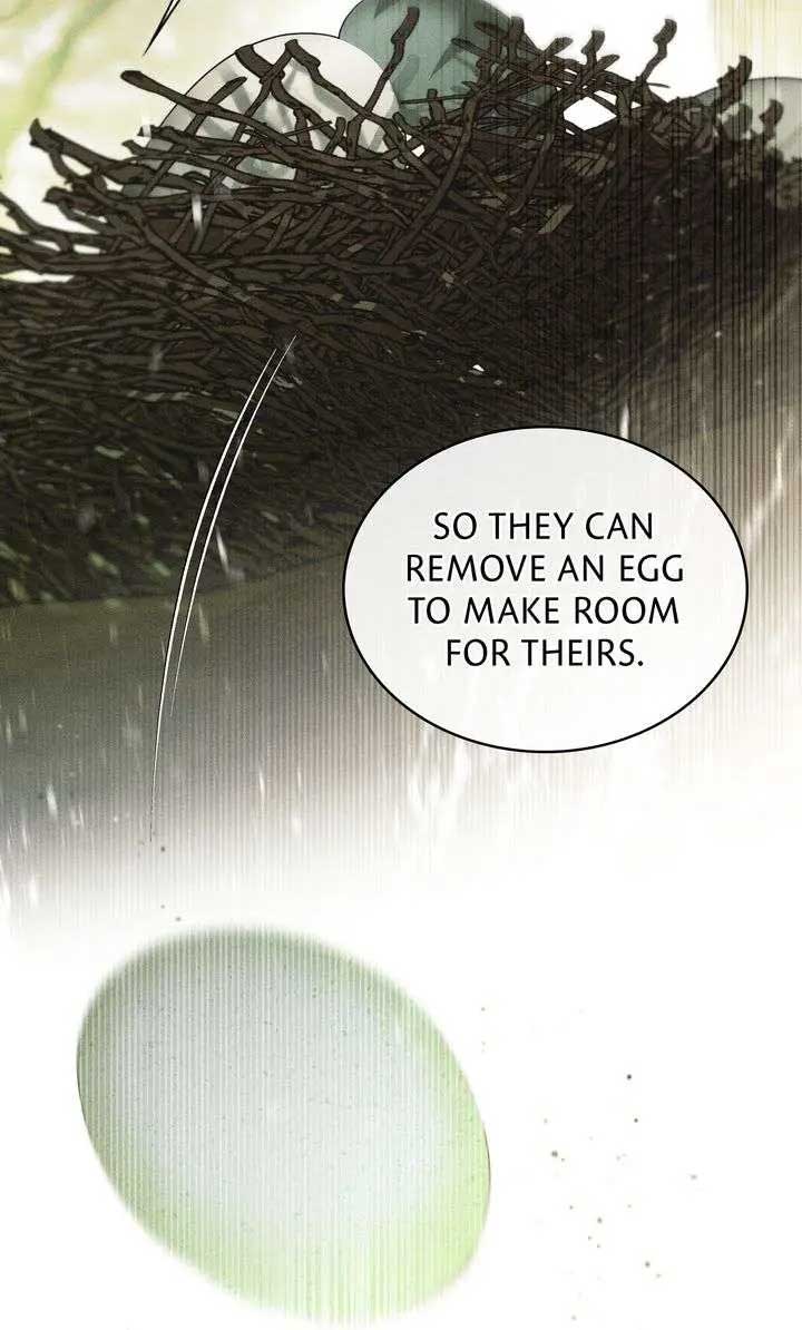 The Promise Isn’t Mine Chapter 33 page 33