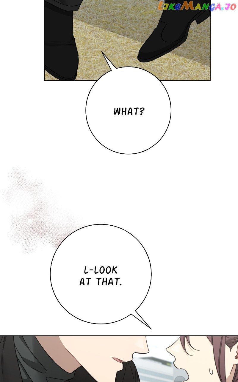 The Runway Chapter 97 page 50