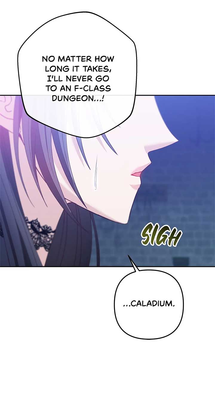 The S-Class Dungeon Owner Chapter 11 page 10
