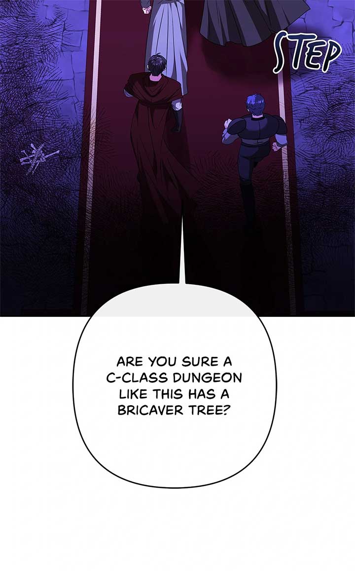 The S-Class Dungeon Owner Chapter 60 page 25