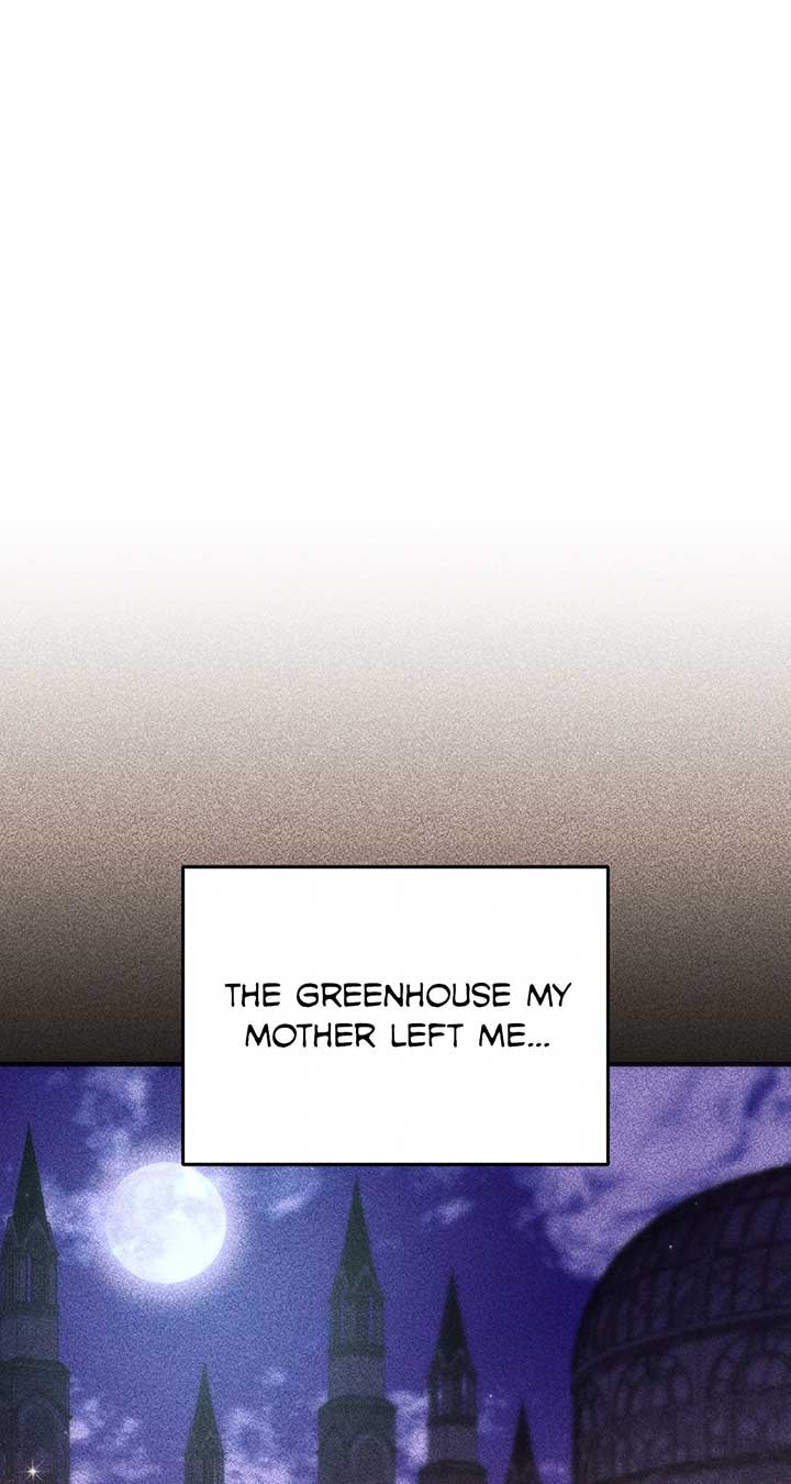 The Secret Bedroom of a Dejected Royal Daughter Chapter 110 page 81