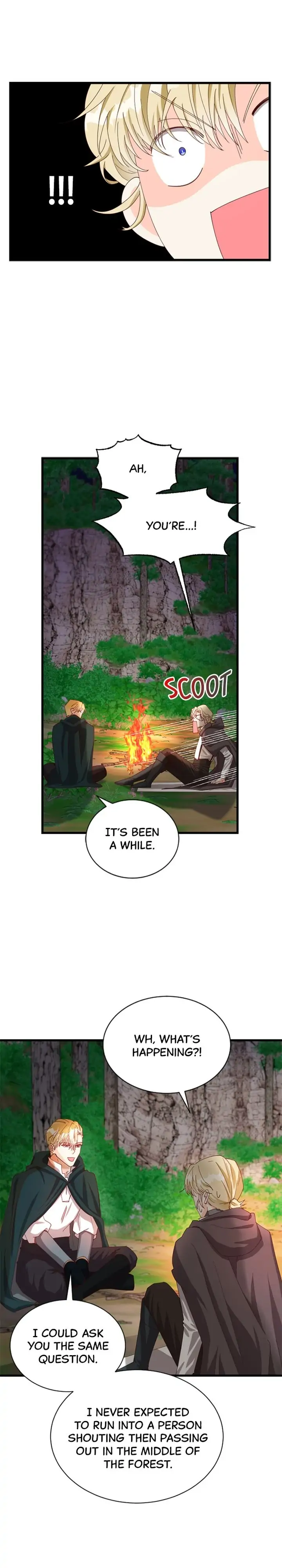 The Secret Life of a Certain Count’s Lady Chapter 11 page 12