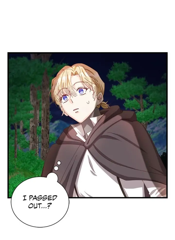 The Secret Life of a Certain Count’s Lady Chapter 11 page 13
