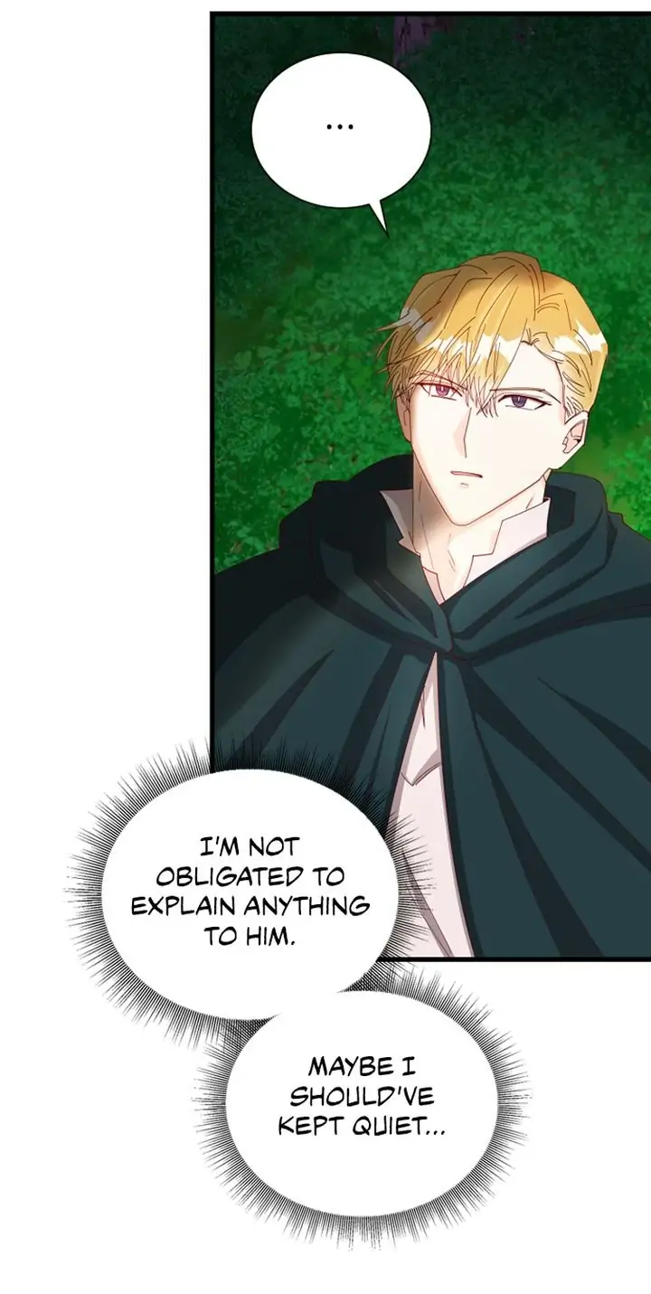 The Secret Life of a Certain Count’s Lady Chapter 11 page 27