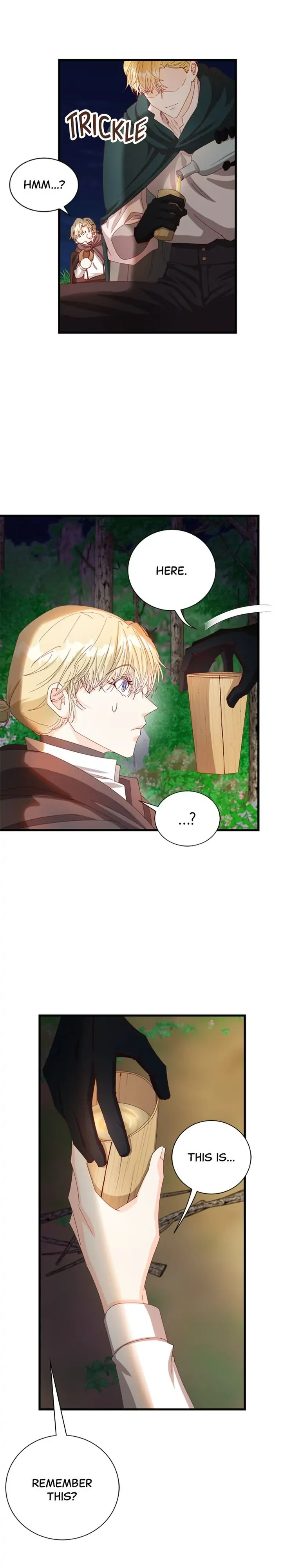 The Secret Life of a Certain Count’s Lady Chapter 11 page 34