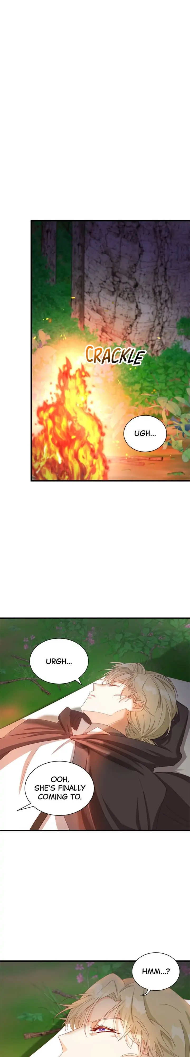 The Secret Life of a Certain Count’s Lady Chapter 11 page 7