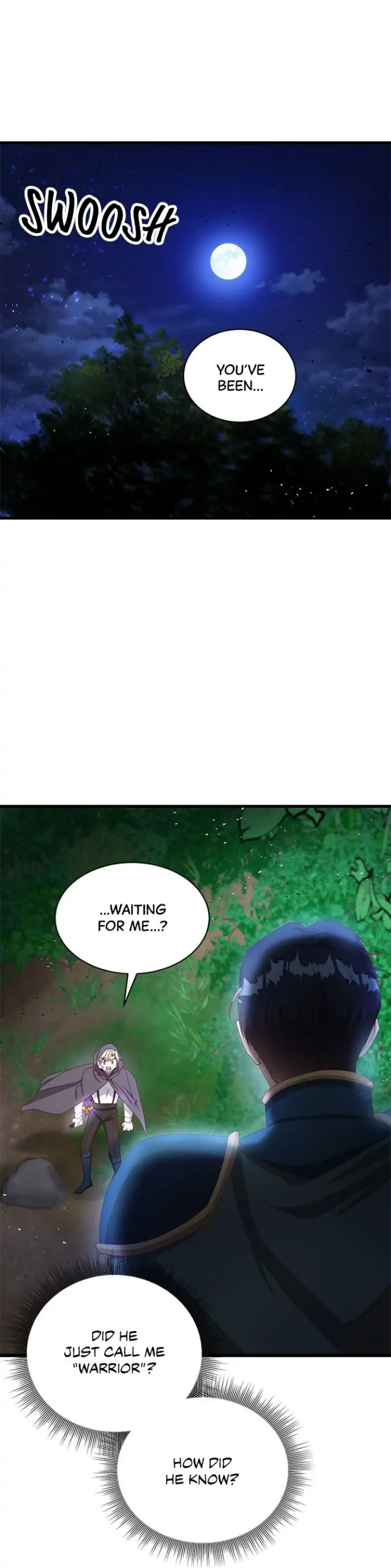The Secret Life of a Certain Count’s Lady Chapter 13 page 0