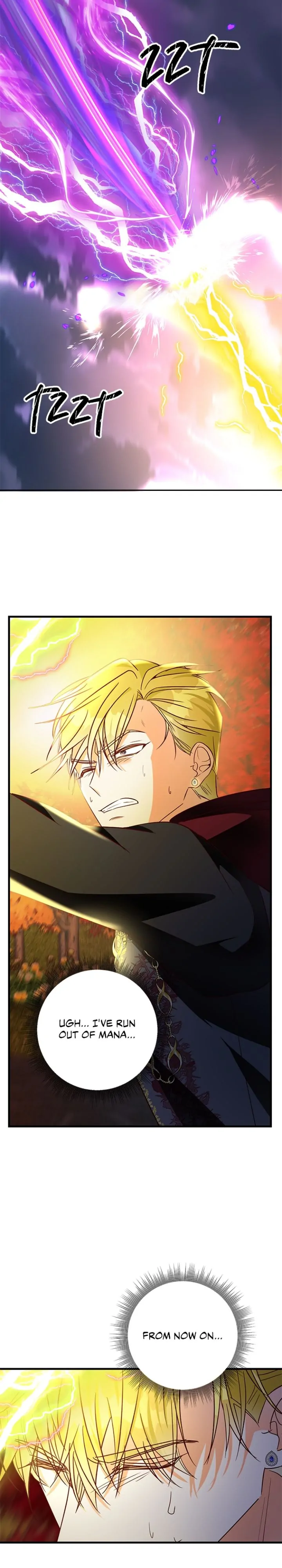 The Secret Life of a Certain Count’s Lady Chapter 88 page 28