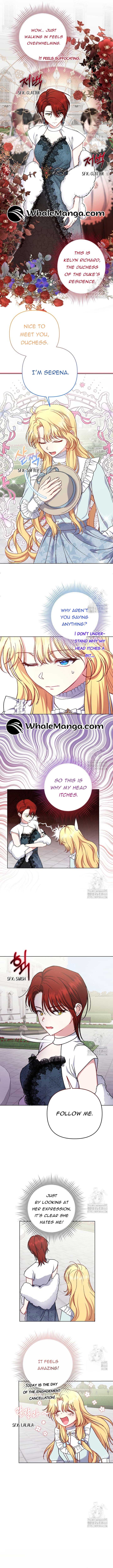The Supporting Duck Waiting for the Breakup Chapter 12 page 3