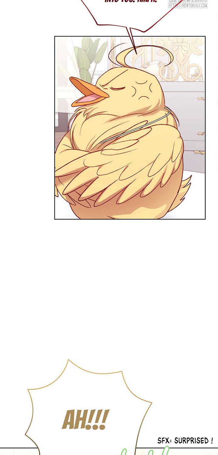 The Supporting Duck Waiting for the Breakup Chapter 9 page 49