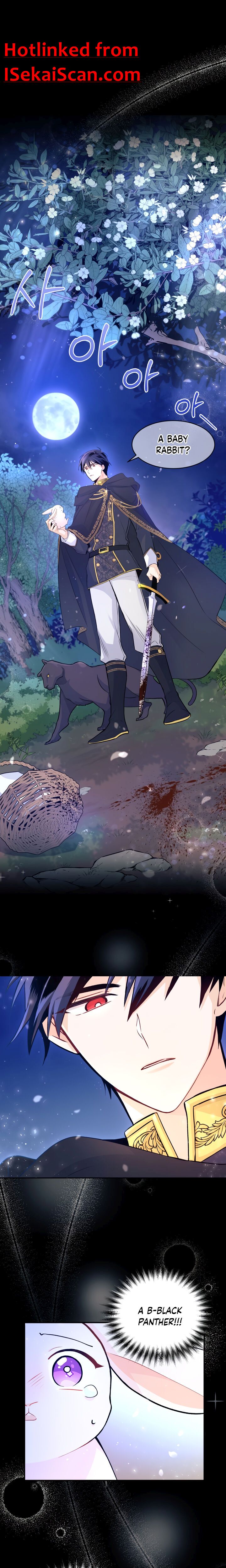 The Symbiotic Relationship Between the Rabbit and the Black Panther Chapter 1 page 0
