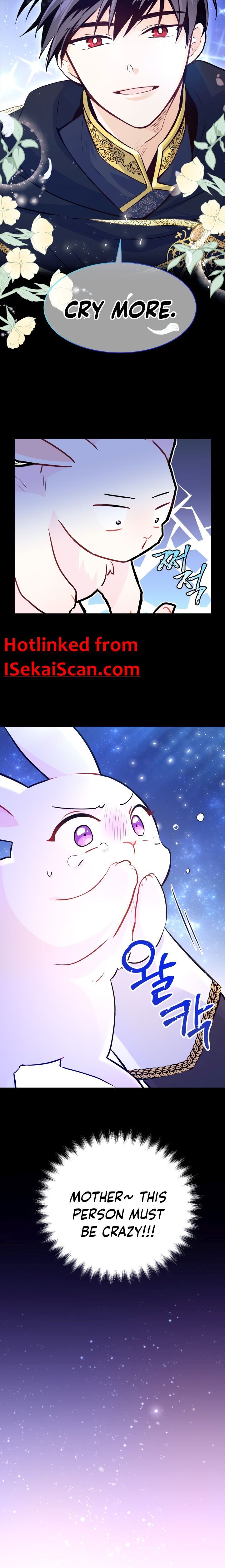 The Symbiotic Relationship Between the Rabbit and the Black Panther Chapter 1 page 2