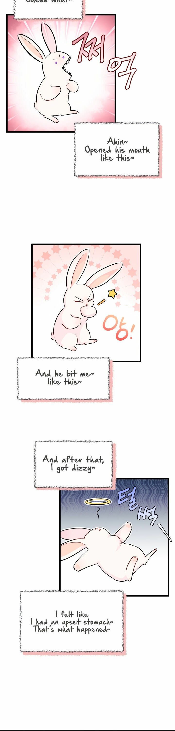 The Symbiotic Relationship Between the Rabbit and the Black Panther Chapter 11 page 19