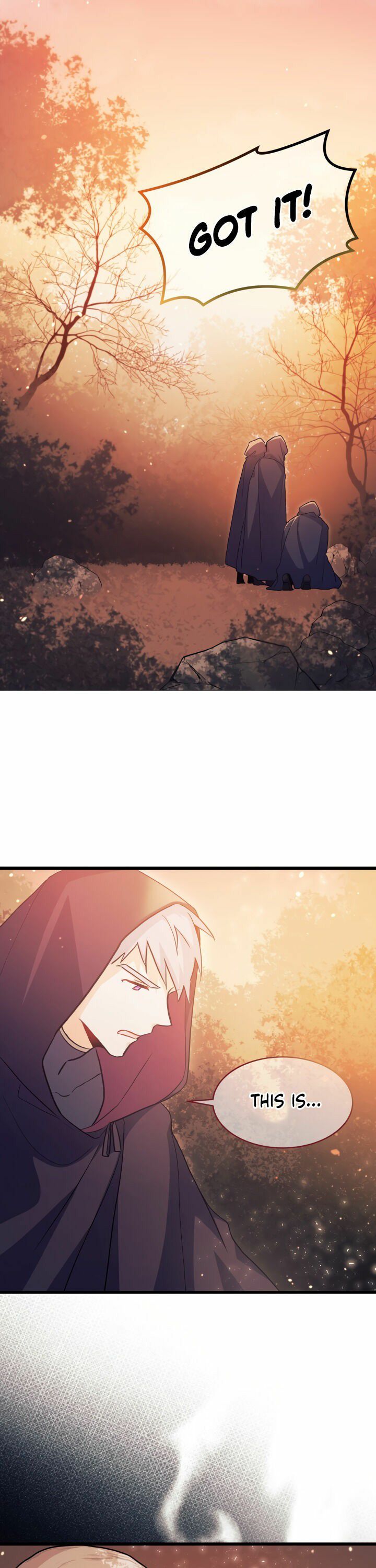 The Symbiotic Relationship Between the Rabbit and the Black Panther Chapter 11 page 24