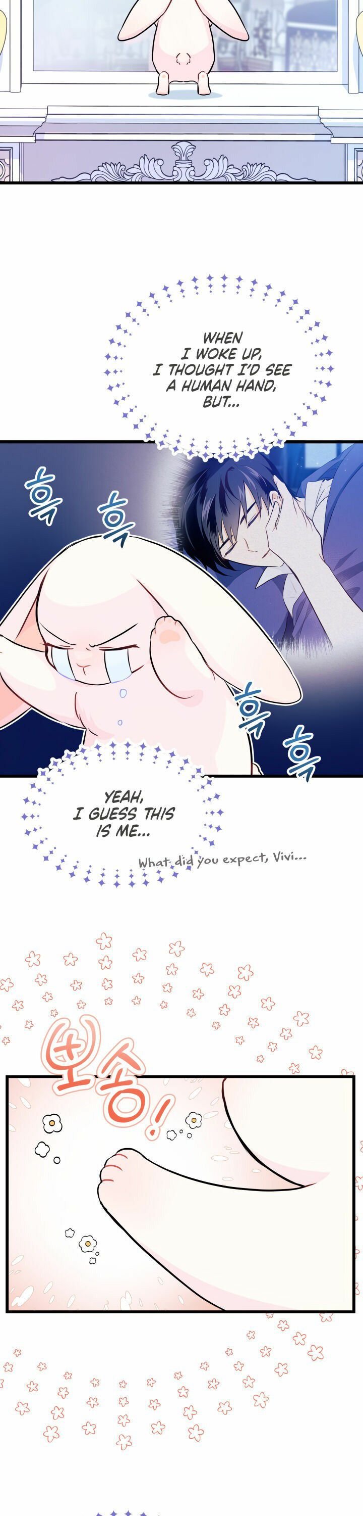 The Symbiotic Relationship Between the Rabbit and the Black Panther Chapter 11 page 7