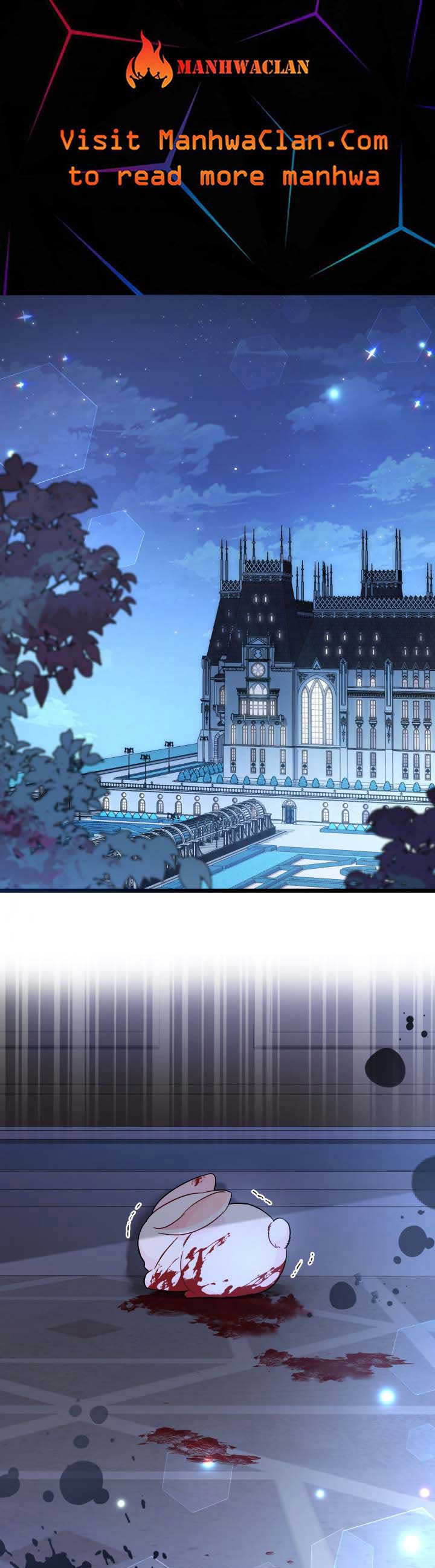 The Symbiotic Relationship Between the Rabbit and the Black Panther Chapter 117 page 0