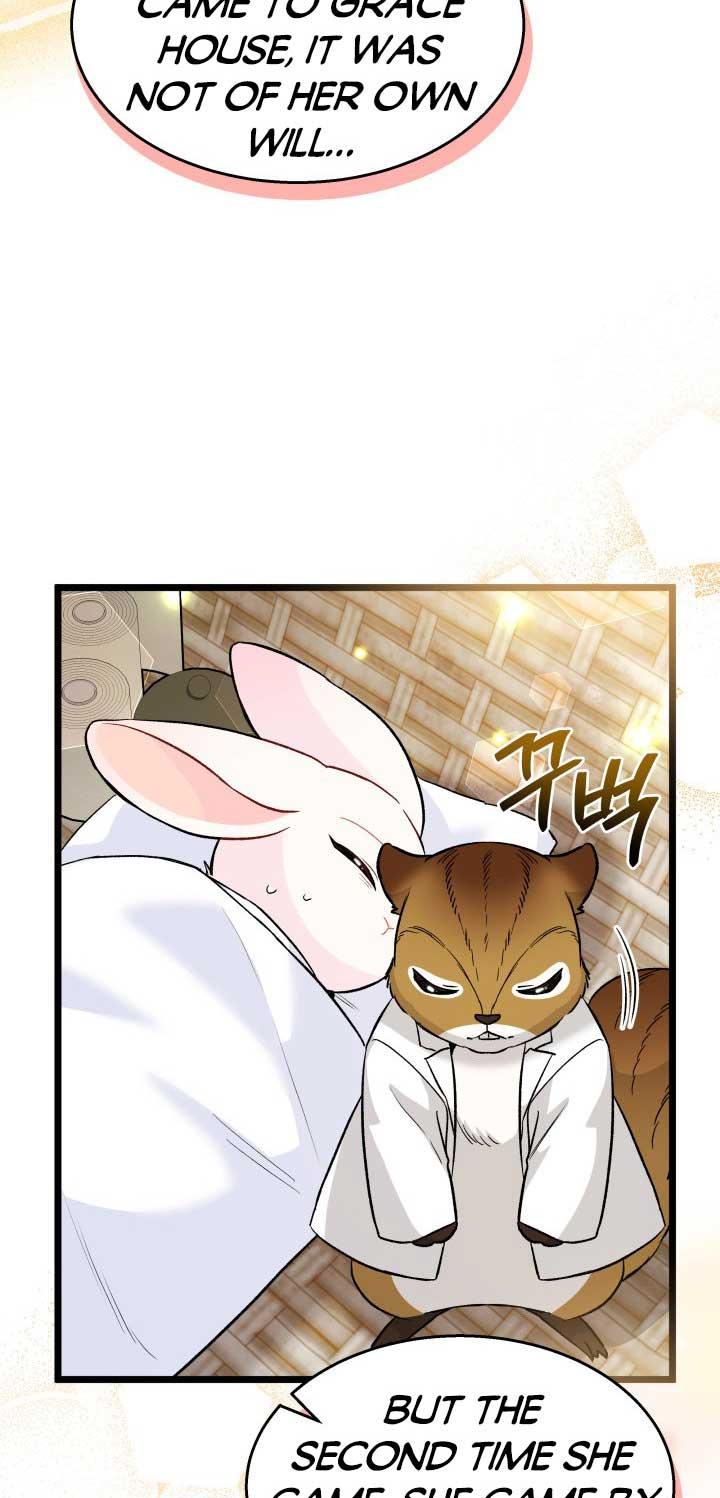 The Symbiotic Relationship Between the Rabbit and the Black Panther Chapter 121 page 5