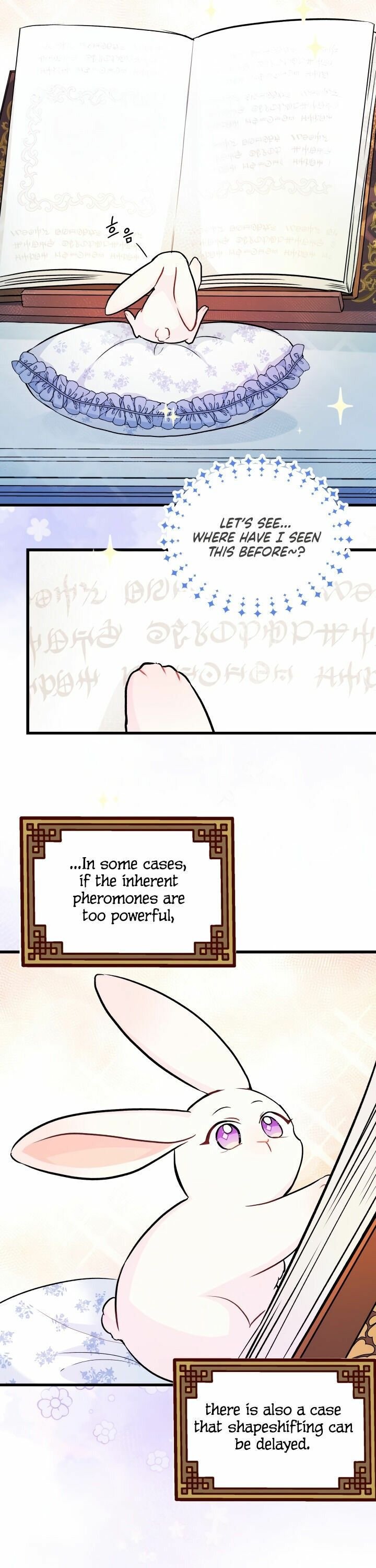 The Symbiotic Relationship Between the Rabbit and the Black Panther Chapter 13 page 15