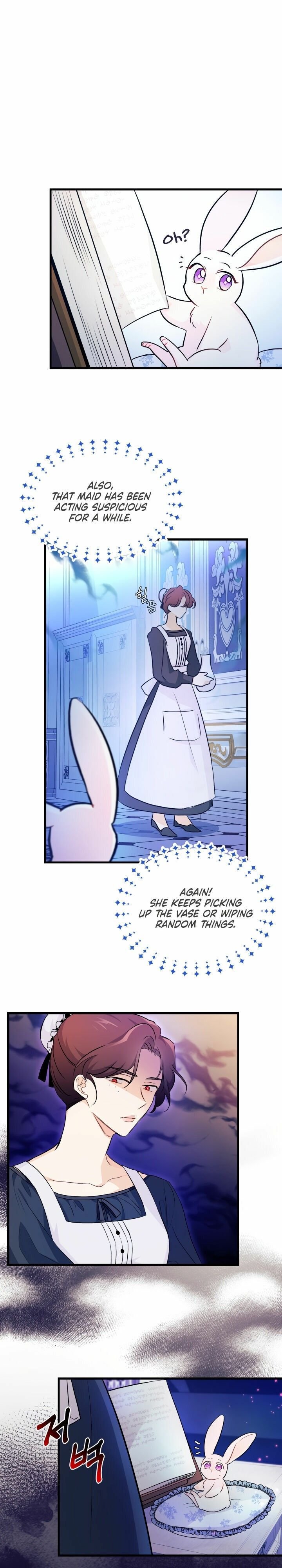 The Symbiotic Relationship Between the Rabbit and the Black Panther Chapter 13 page 17