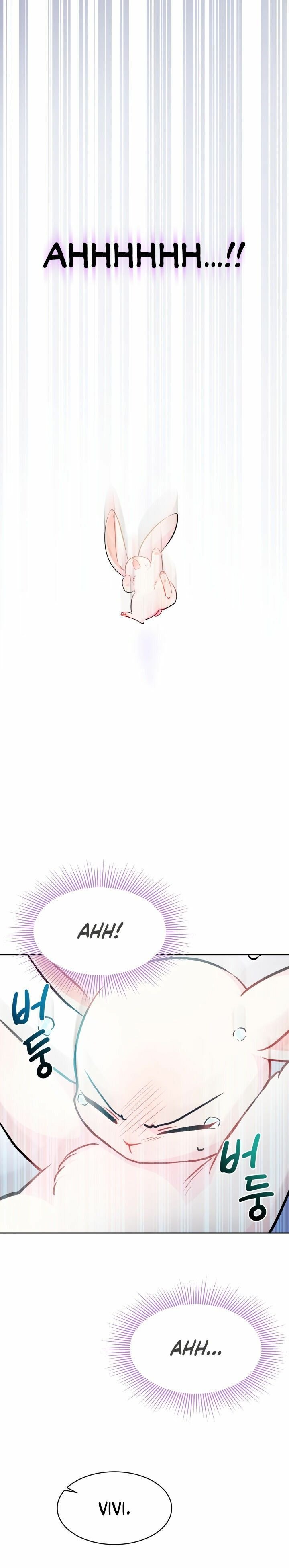 The Symbiotic Relationship Between the Rabbit and the Black Panther Chapter 14 page 19