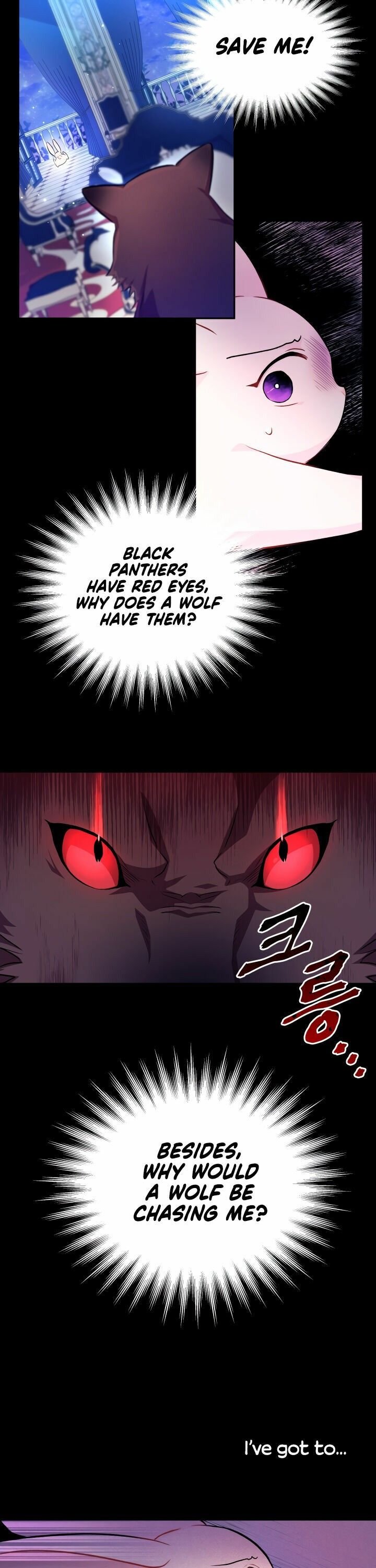 The Symbiotic Relationship Between the Rabbit and the Black Panther Chapter 14 page 3