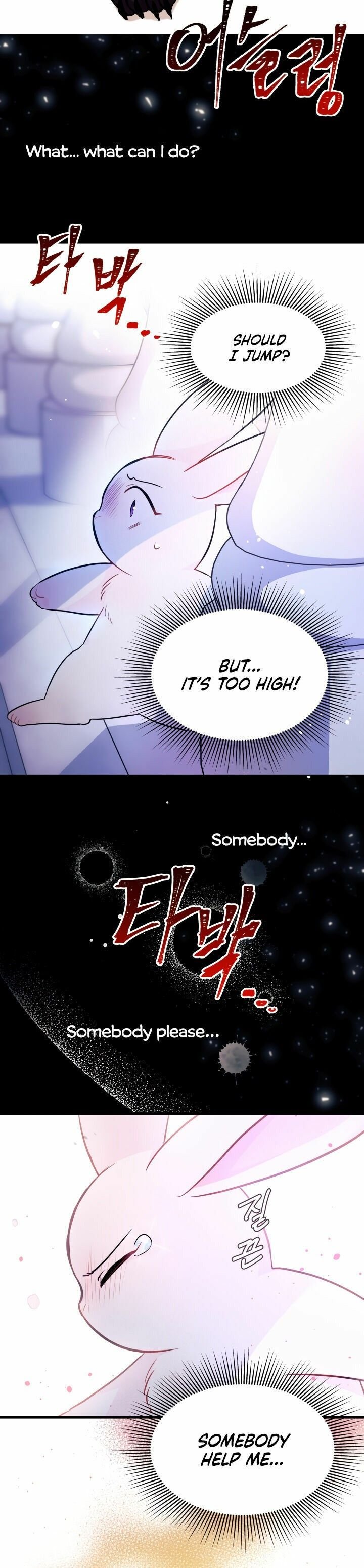 The Symbiotic Relationship Between the Rabbit and the Black Panther Chapter 14 page 6