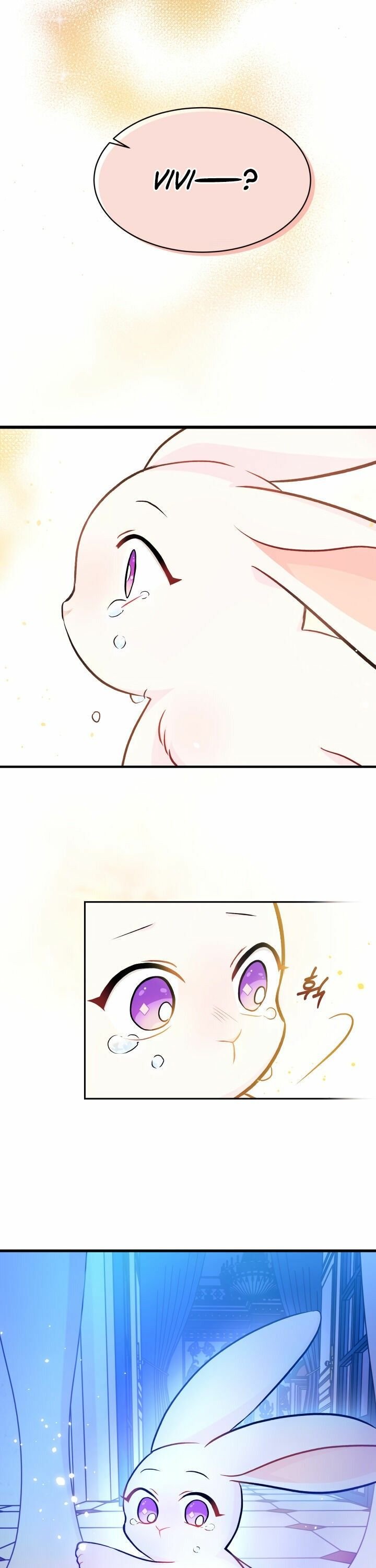 The Symbiotic Relationship Between the Rabbit and the Black Panther Chapter 14 page 7