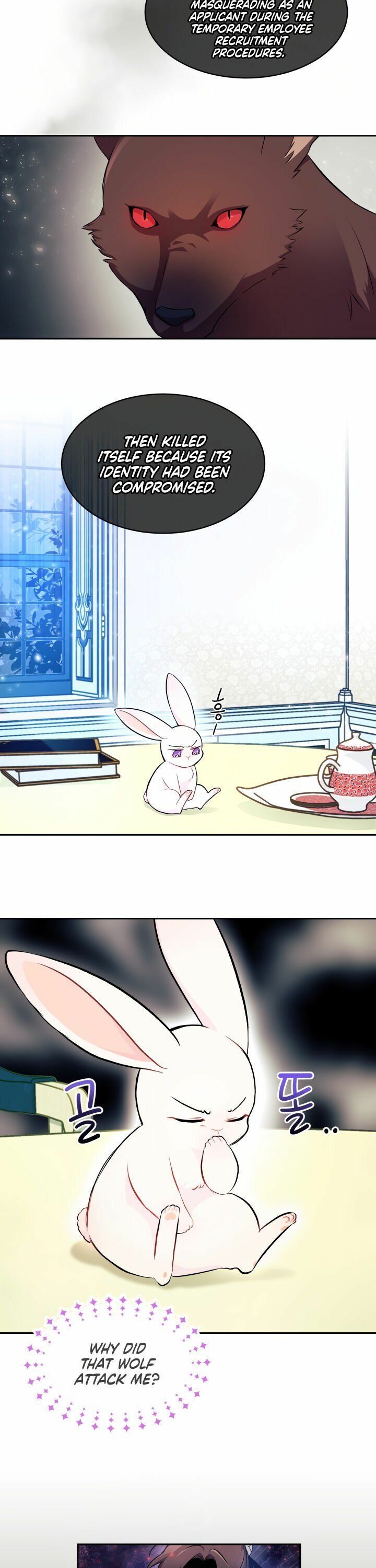 The Symbiotic Relationship Between the Rabbit and the Black Panther Chapter 15 page 1