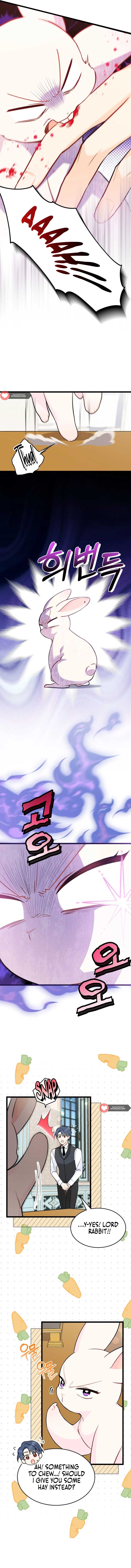 The Symbiotic Relationship Between the Rabbit and the Black Panther Chapter 152 page 1