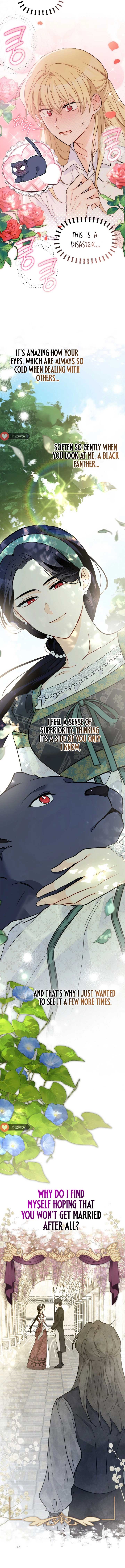 The Symbiotic Relationship Between the Rabbit and the Black Panther Chapter 153 page 11