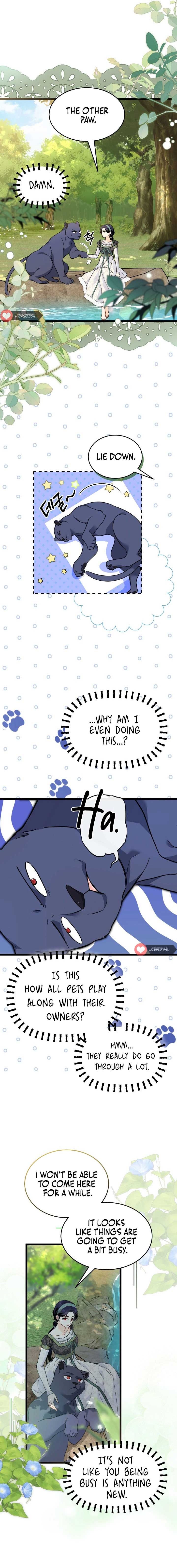 The Symbiotic Relationship Between the Rabbit and the Black Panther Chapter 153 page 4